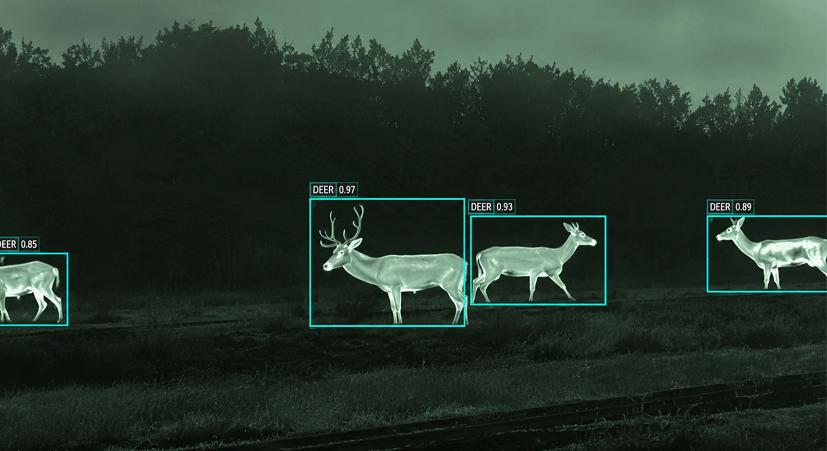 AI wildlife monitoring system for airport safety