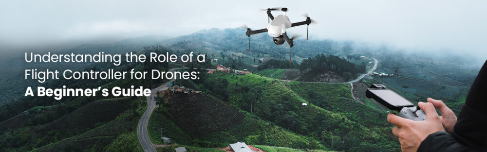 Role of a flight controller