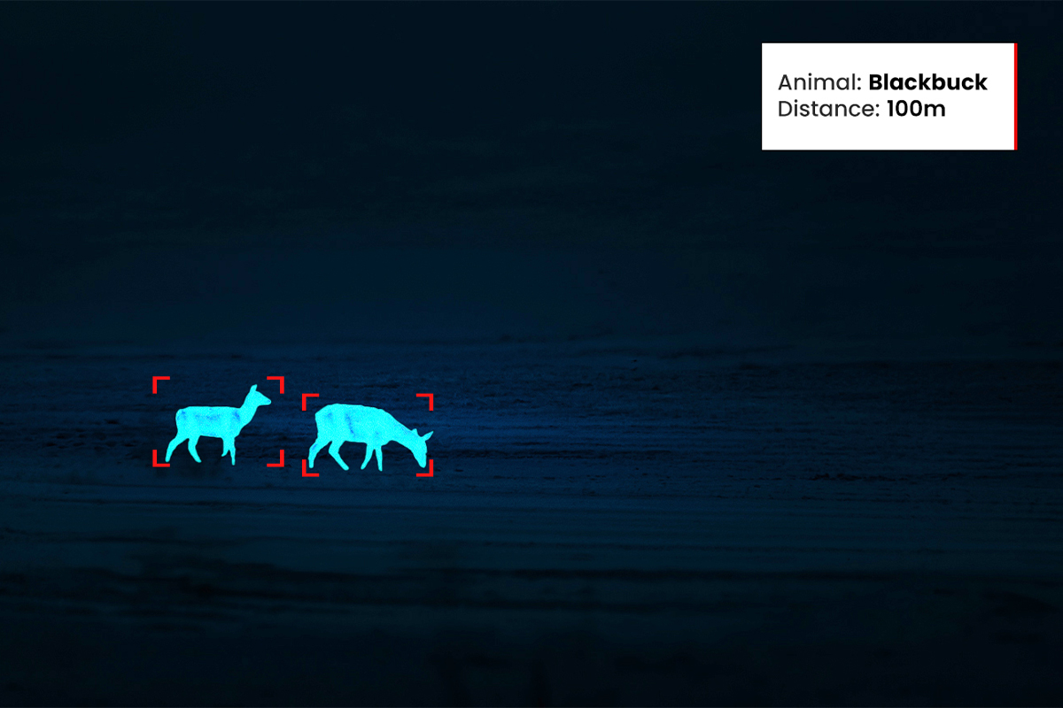 Wildlife Detection